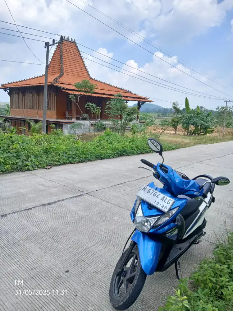 Honda beat 2013