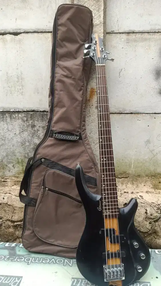 Bass Gillmore 5 strings