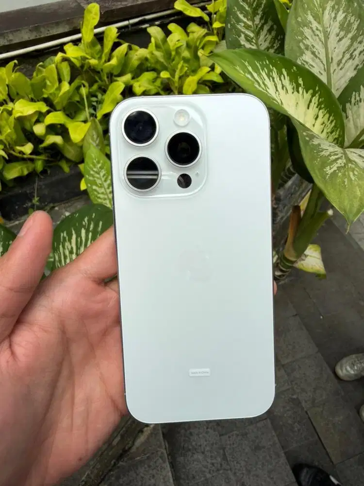 Iphone 16 Pro 128 Gb Silver
