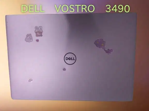 Dell Vostro Editing