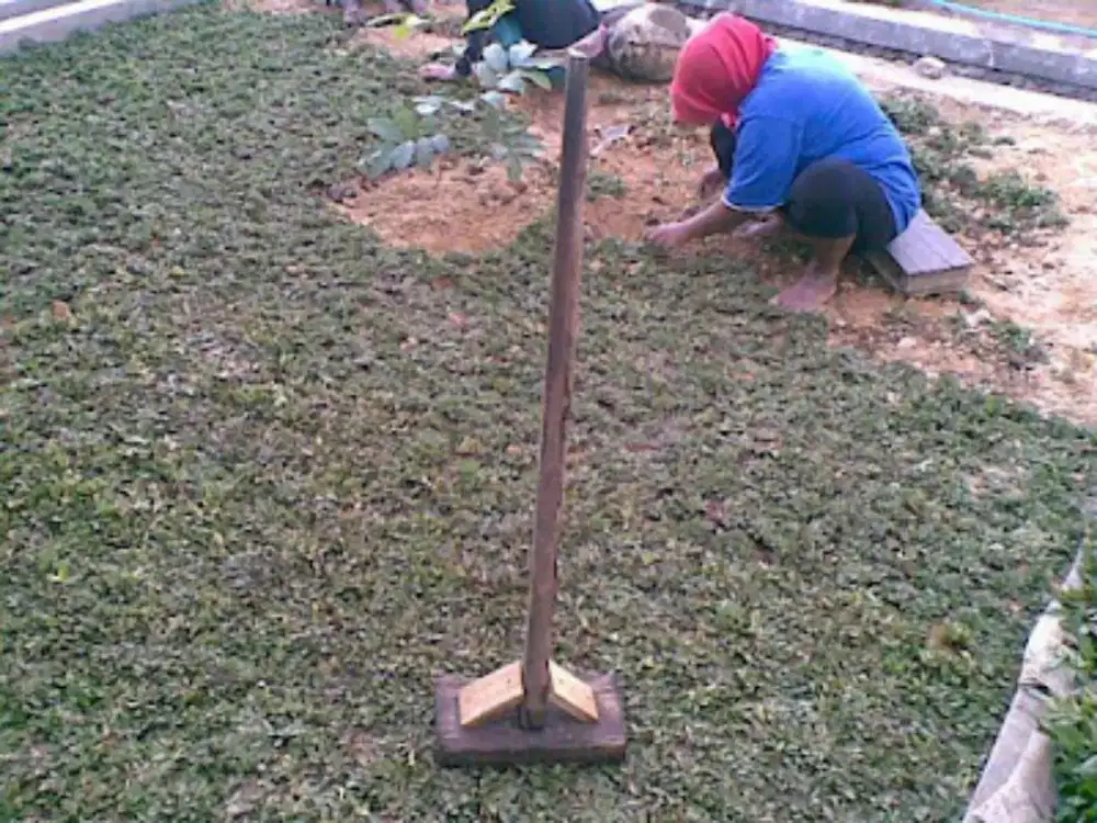 Tukang tanam rumput