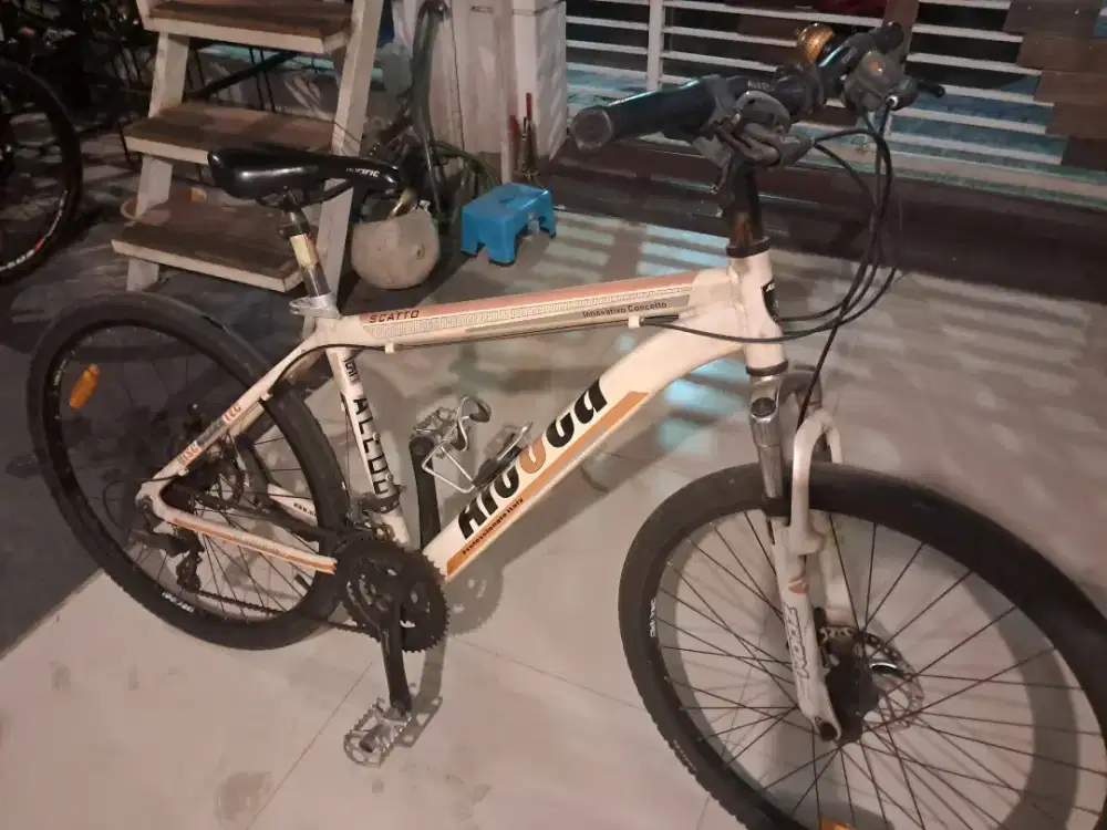 Mtb Aleoca Italy