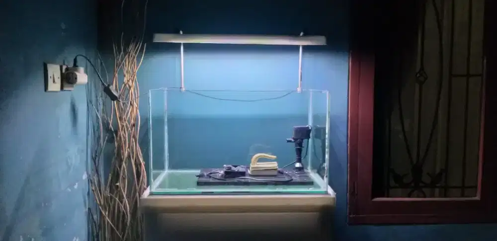 Aquarium full set