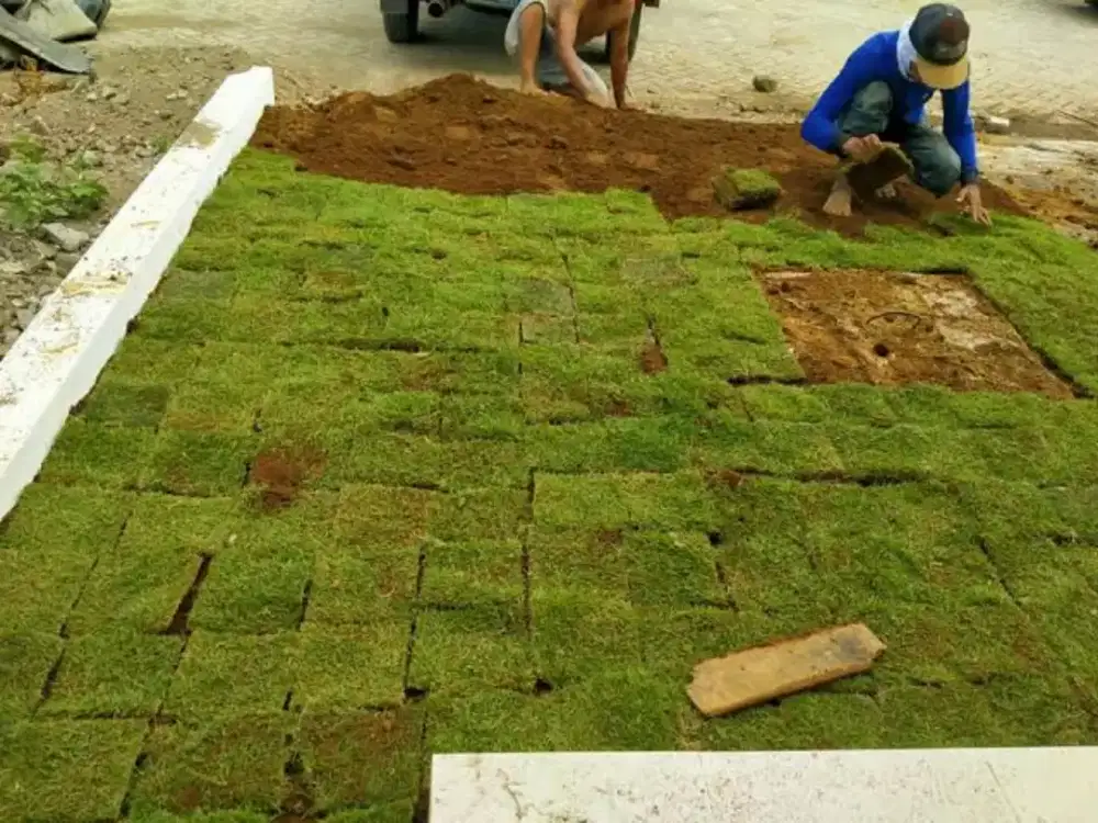 Tukang rumput halaman