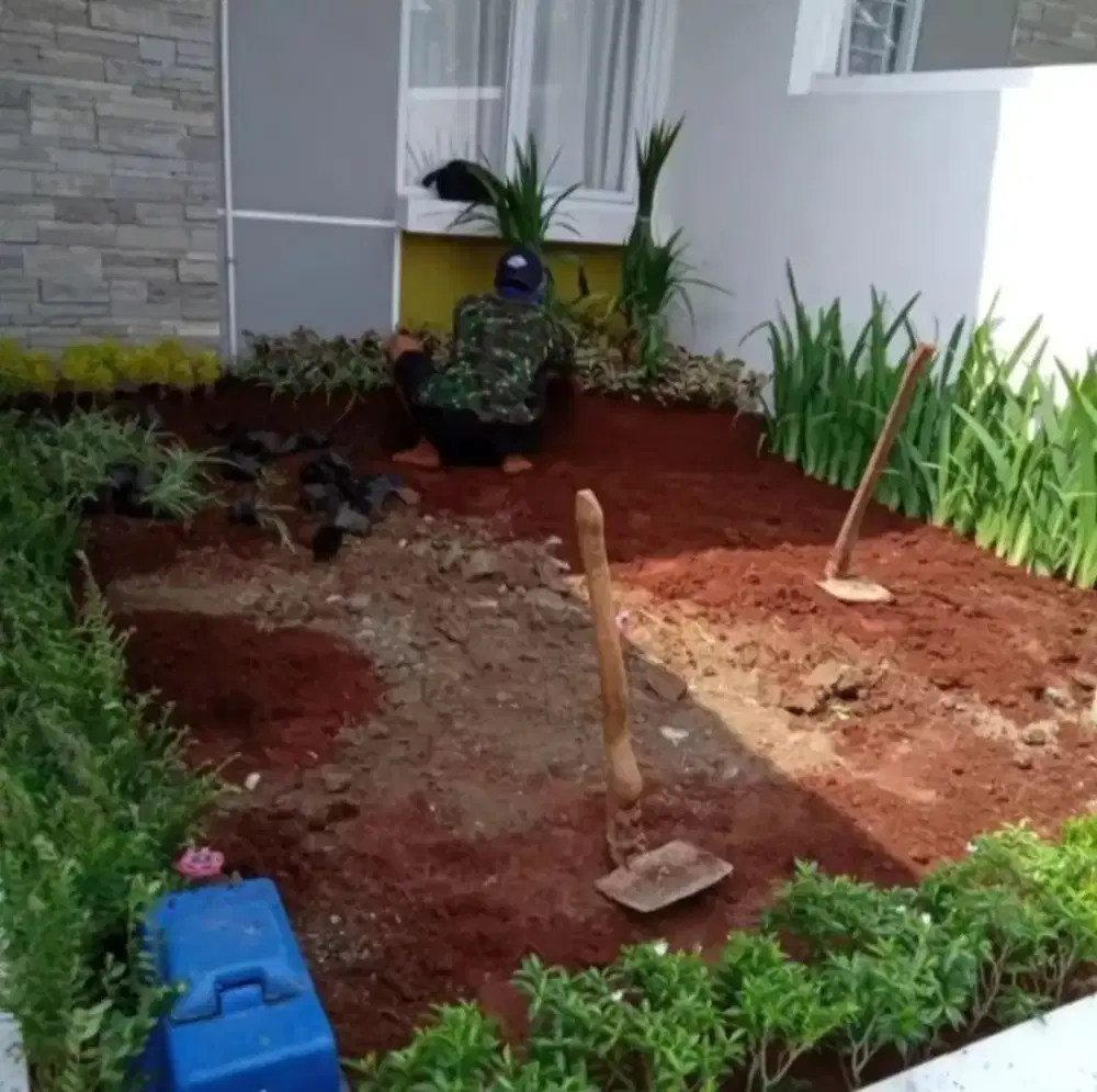Tukang taman murah
