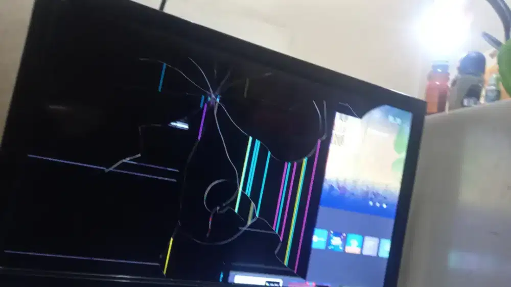 TV POLYTRON 24 IN RUSAK LCD