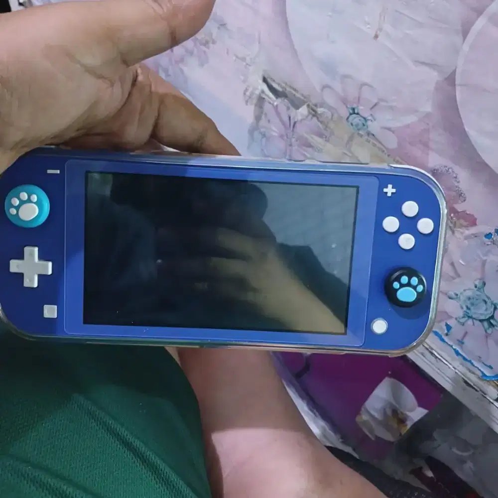 Switch lite mulus