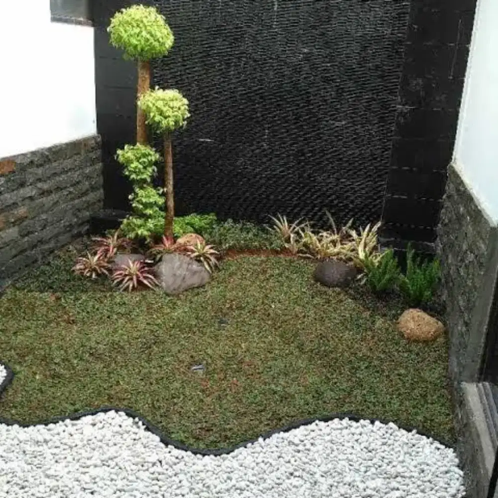 Tukang pasang taman minimalis