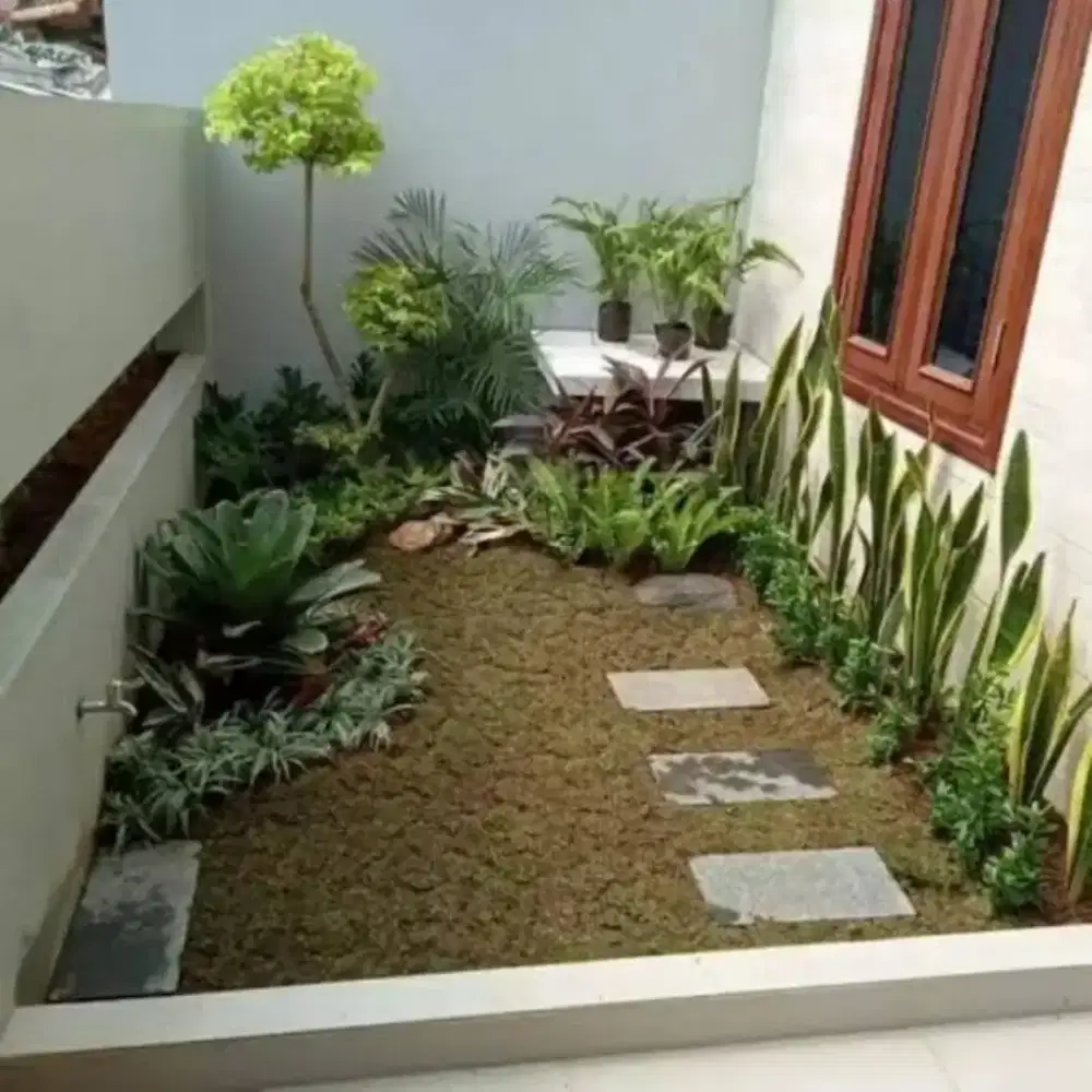 Tukang pasang taman minimalis murah