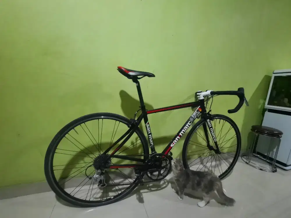 Sepeda Roadbike Sanmarco