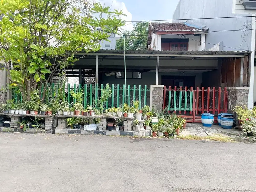 Hit tnh (10x20) di Gayungsari