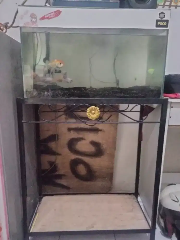 Aquarium Ikan Second + Rak Besi
