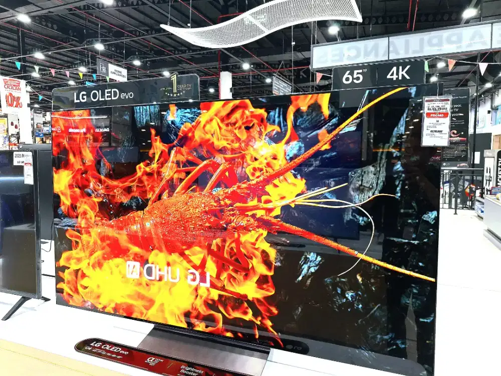 Smart TV LG OLED evo 65inch 4K Indodana