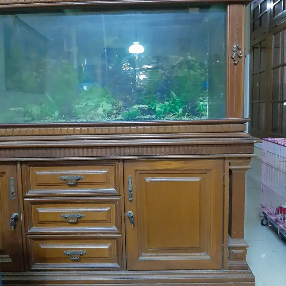 Aquarium besar antapani