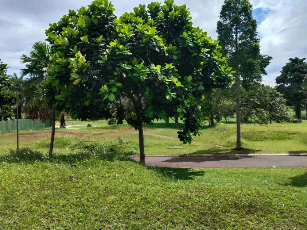 Kavling di Cluster Golf Richmond Peak Rancamaya Bogor