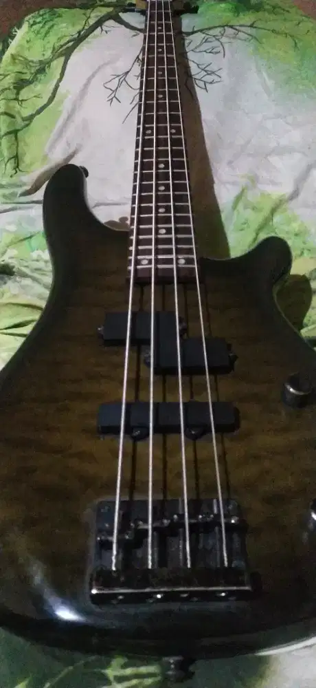 GITAR J&D BASS NOMINUS MULUS