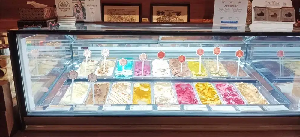 Showcase Gelato Merk GEA