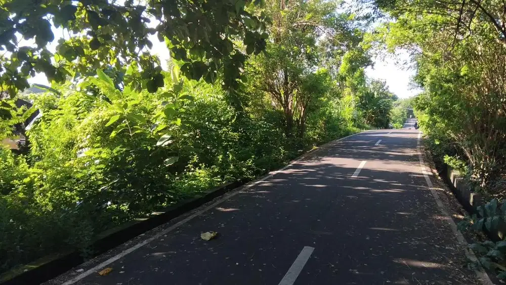 Dijual tanah 4are Perumahan Mumbul