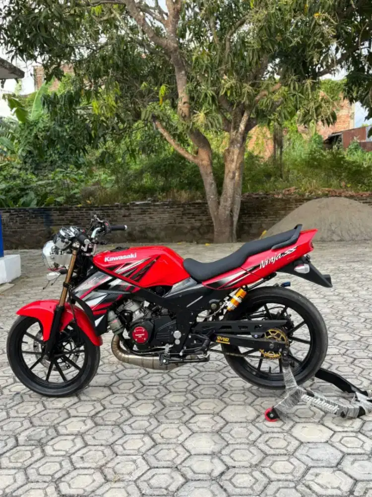 Kawasaki Ninja Up SS