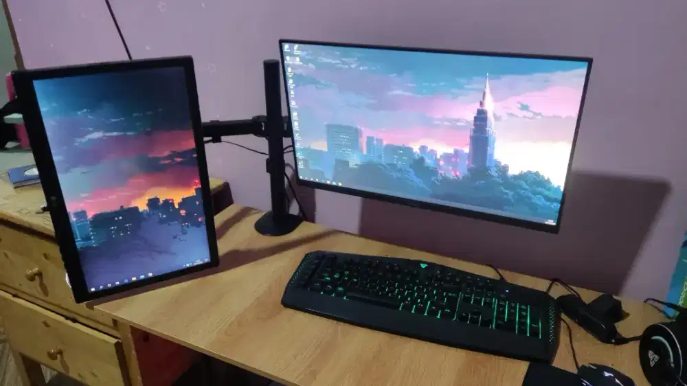 PC gaming 2 monitor