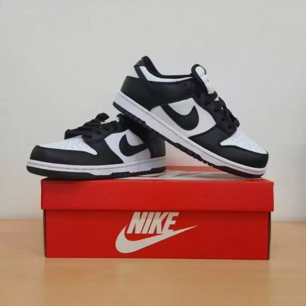 Nike dunk low retro