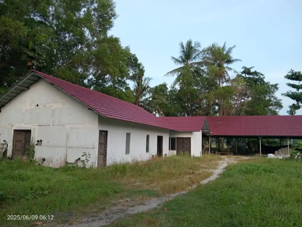 ASET JALIN-TIM: 2500M²! 45 Menit Bakauheni. Cocok Gudang/Bisnis.