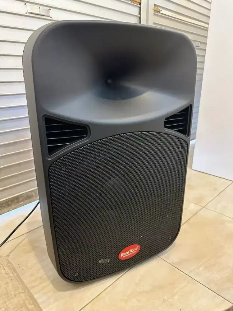 Speaker Baretone
