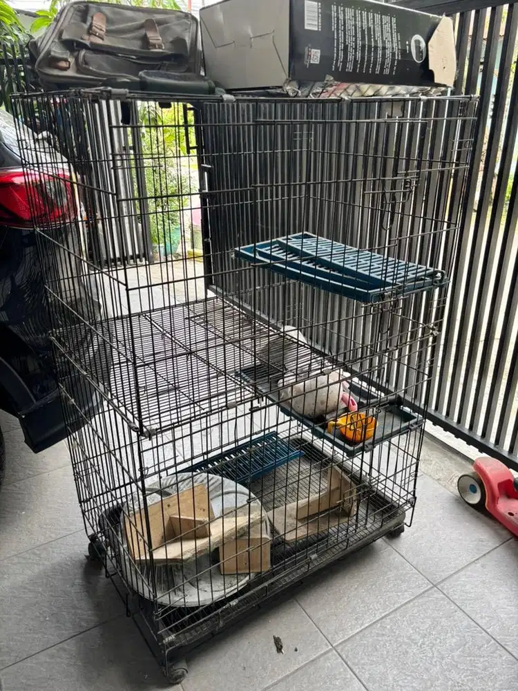 Kandang Kucing Bertingkat