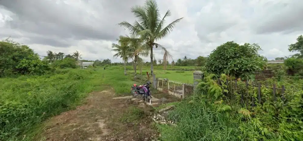 JUAL CEPAT TANAH 2,5 HEKTAR SHM