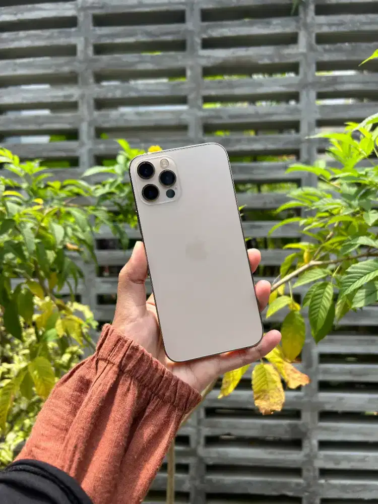iPhone 12 Pro Gold