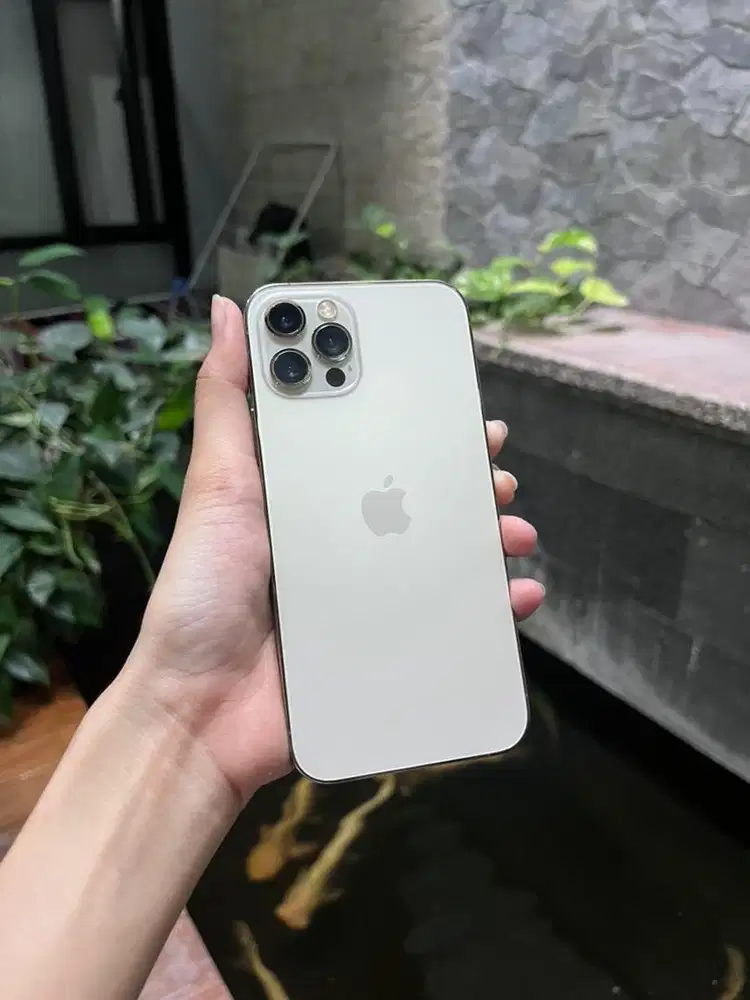 iPhone 12 Pro 256 GB Gold Terdaftar Resmi Beacukai