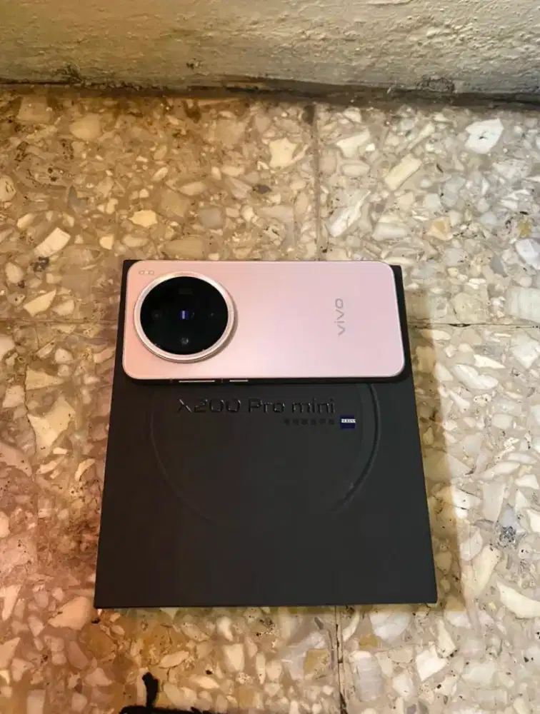 Vivo x200 pro mini