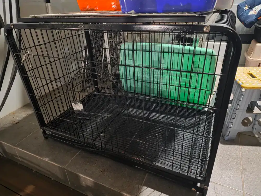Kandang Anjing Besi