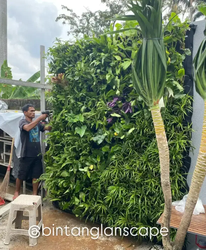 Vertical garden - tukang taman murah - jasa taman
