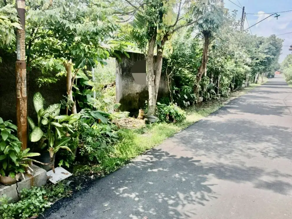 Tanah Pekarangan Strategis Dekat Kampus UMS Solo