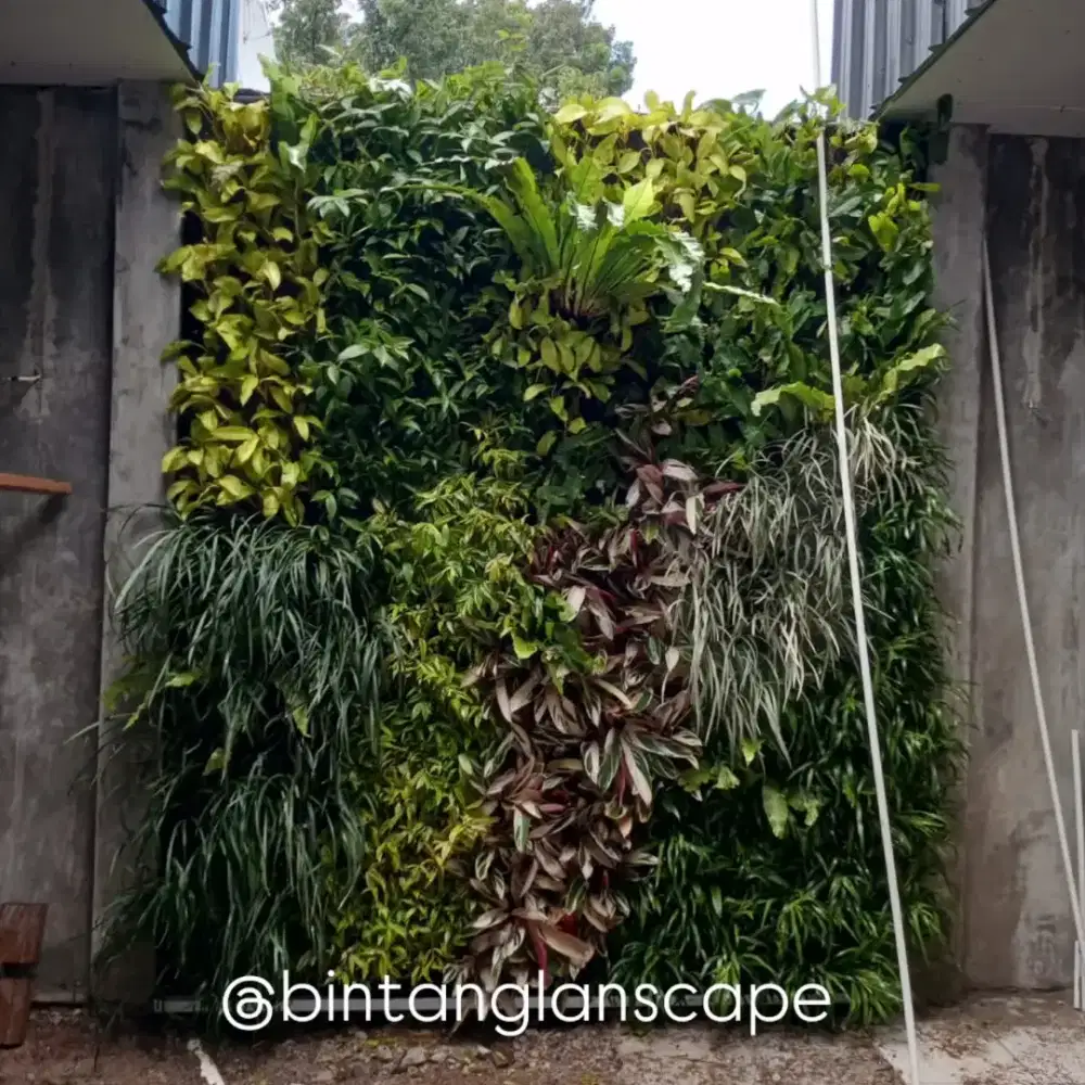 Vertical garden murah - jasa pembuatan taman