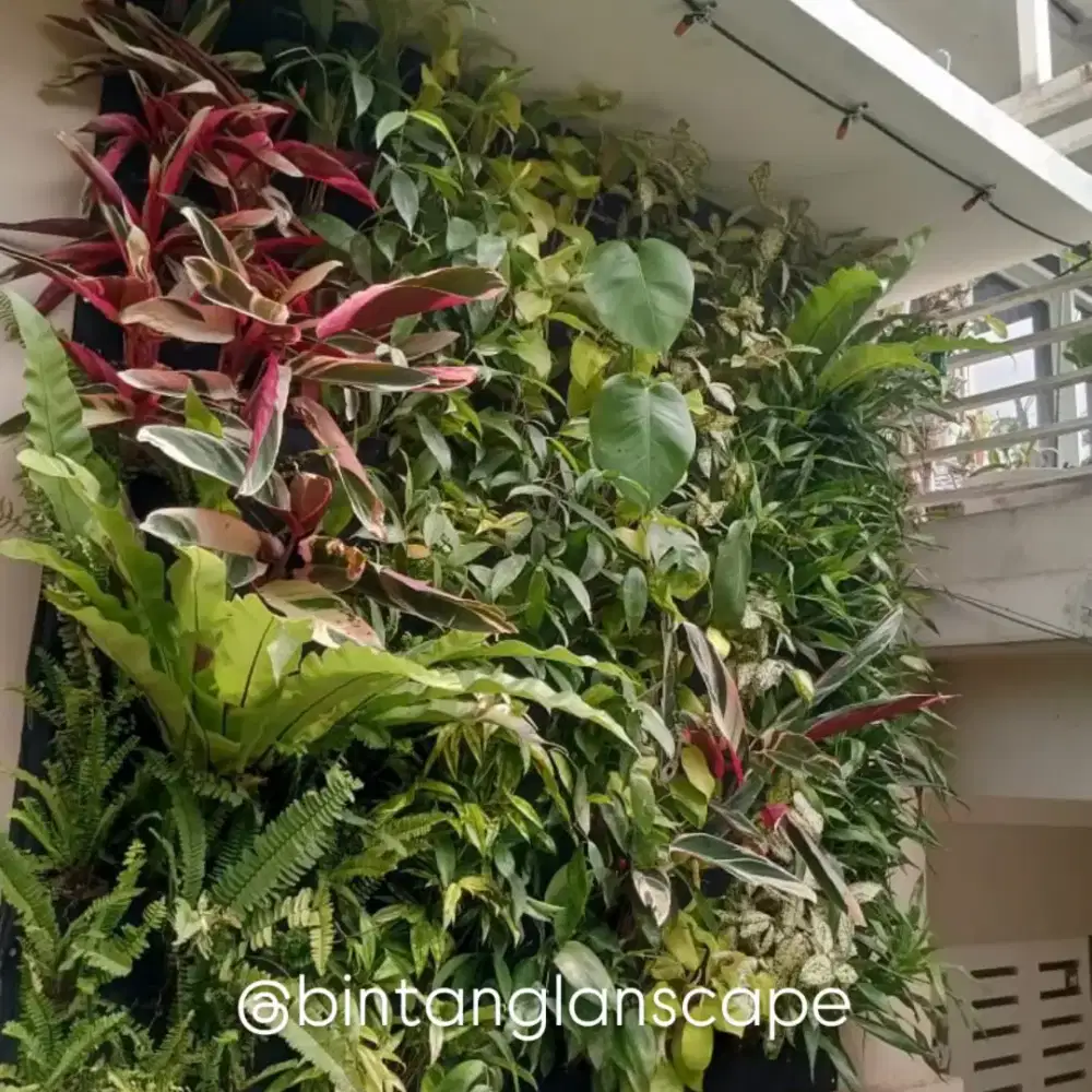 Jasa pembuatan taman murah - vertical garden