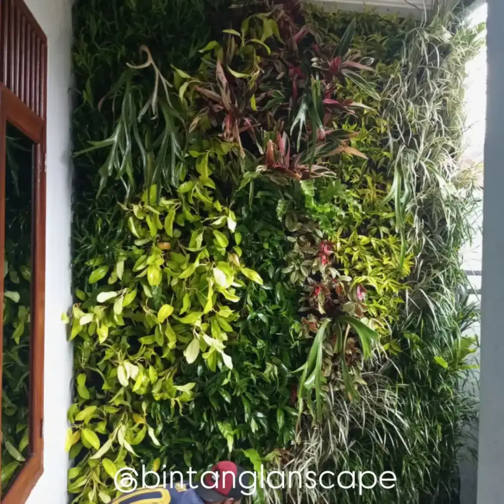 Vertical garden murah - tukang taman