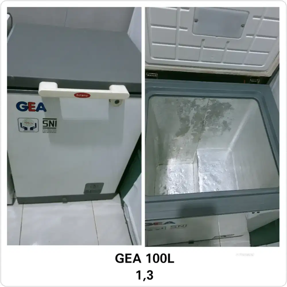 Freezer Box 100L GEA