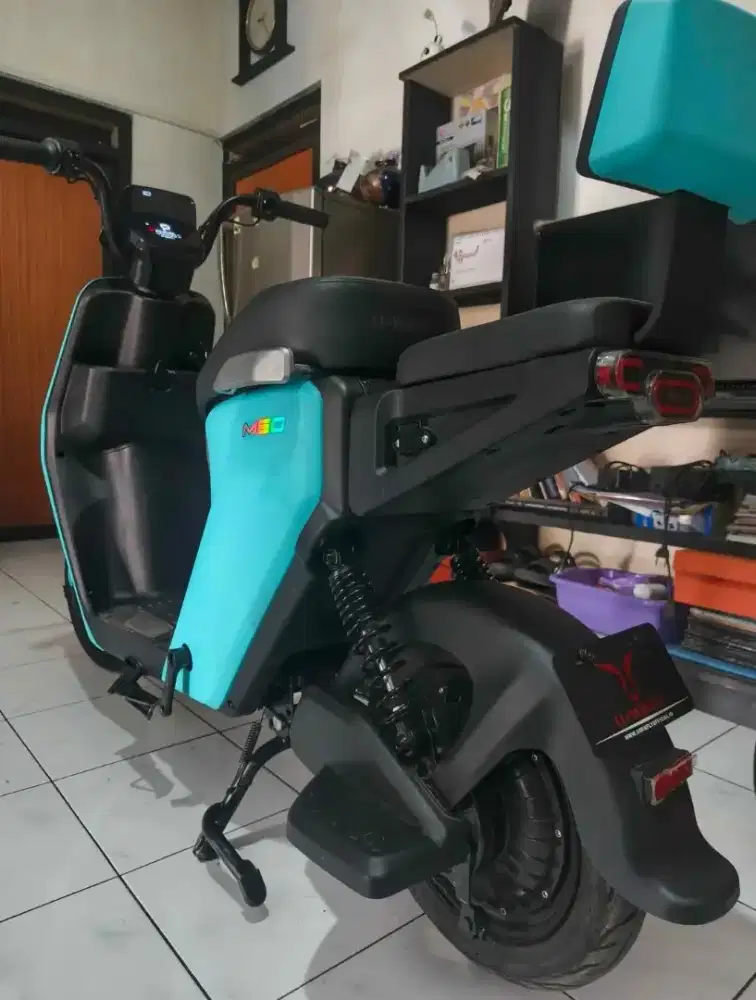 Sepeda listrik uwinfly m60