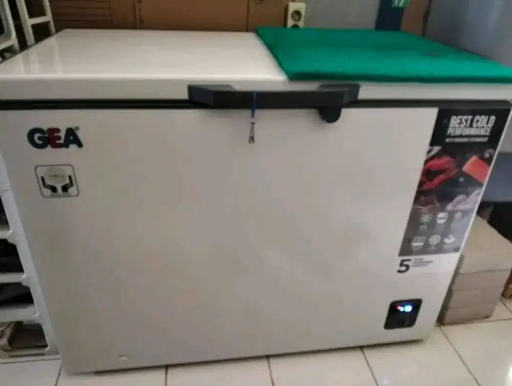 Freezer box gea 318L