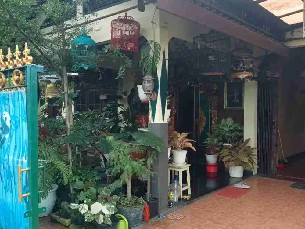 RUMAH SAWAH
