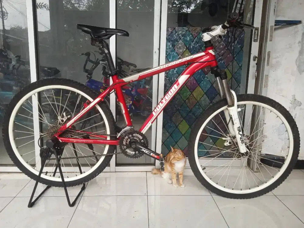 Sepeda gunung MTB polygon Xtrada 3