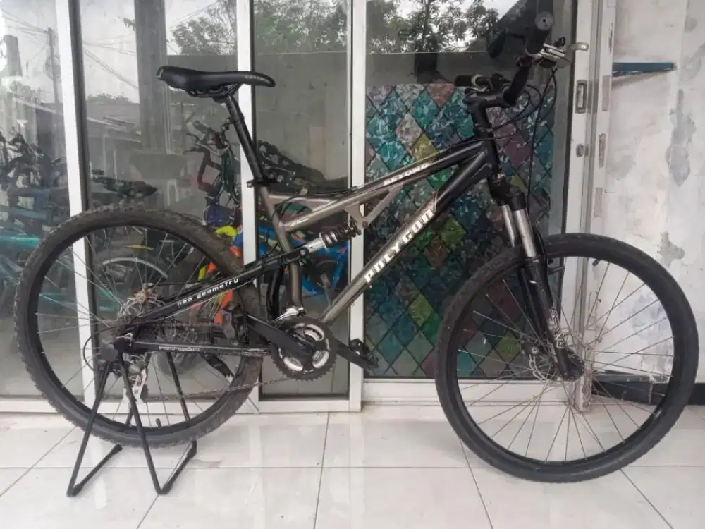 Sepeda gunung MTB polygon Beyond fulsus