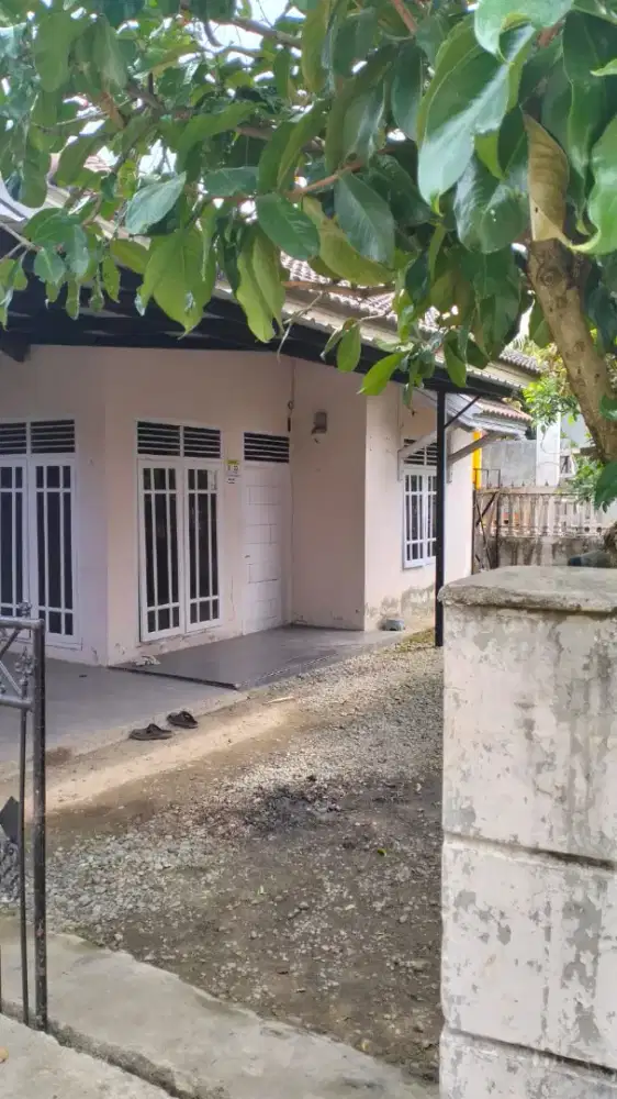 Disewakan Rumah tempat tinggal (bukan untuk usaha)