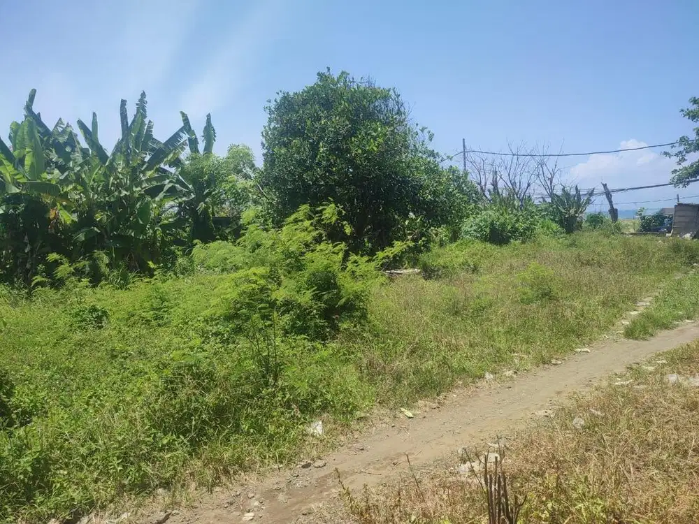 Land for sale ocean view