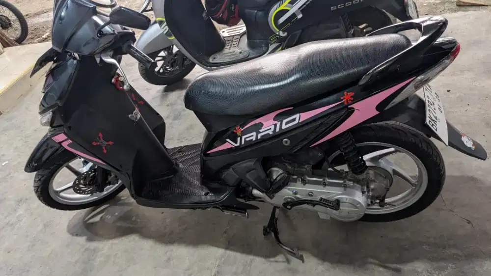 - Vario Pink 2008 -
