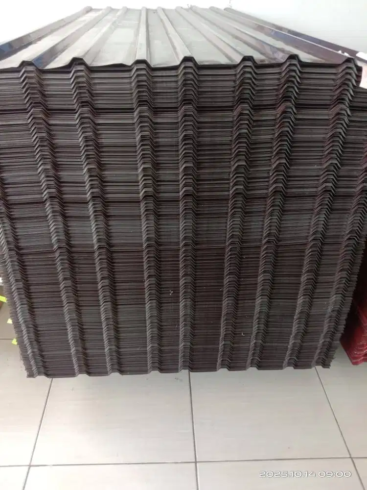 soka jempol coklat (asli)