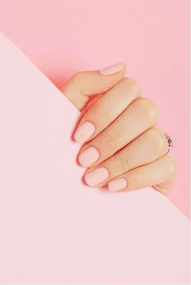 Nail Artist & Eyelash Therapist