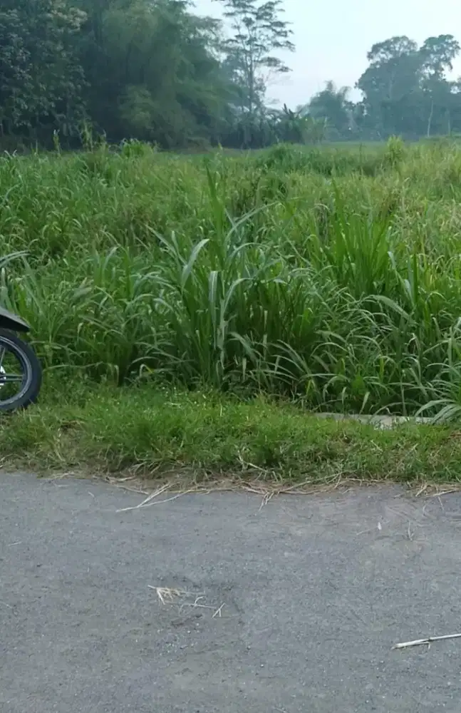 Tanah padat pinggir jalan siap bangun
